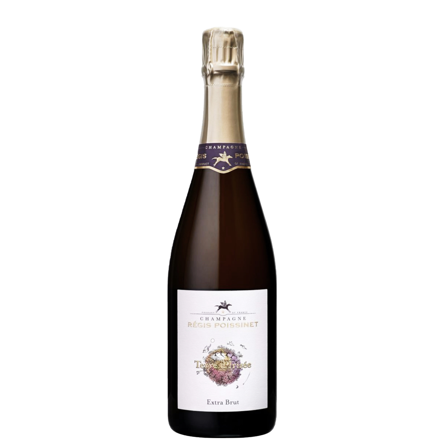 Regis Poissinet Champagne Extra Brut 'Terre d'Irizee'
