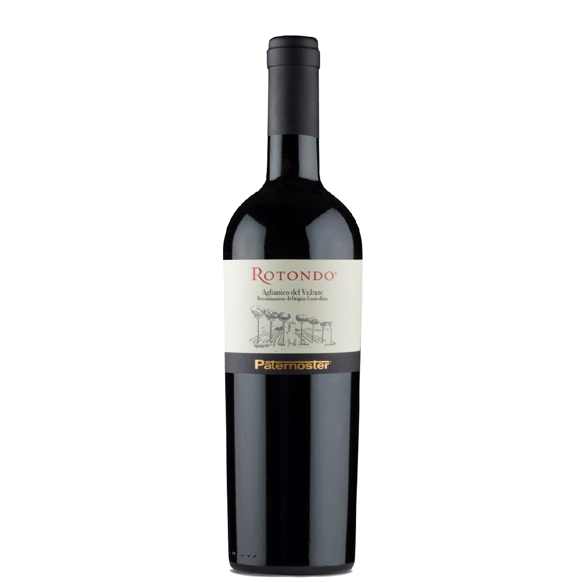 Paternoster Notes Aglianico del Vulture Doc Rotondo 2017 – Paternoster - Skincare routine ...