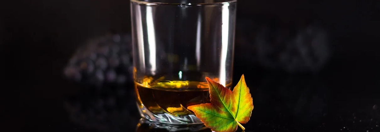 Quali sono i benefici del rum per la salute