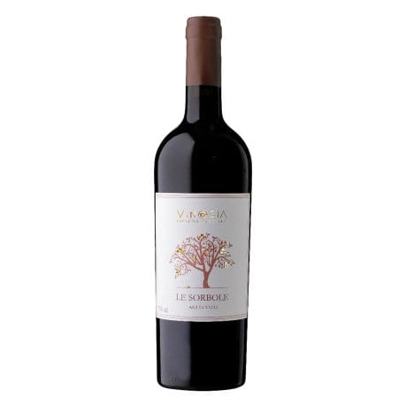 luciano ercolino le sorbole aglianico-enoteca san lorenzo riccione